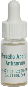 Brucella Abortus Antisera