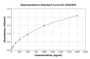 Representative standard curve for Human SLC25A26 ELISA kit (A302955)