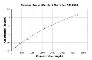 Representative standard curve for Mouse CDA ELISA kit (A311663)