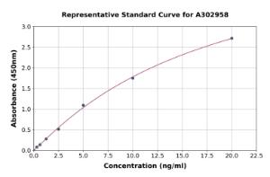 Representative standard curve for Human alpha II Spectrin Breakdown Product 150 ELISA kit (A302958)