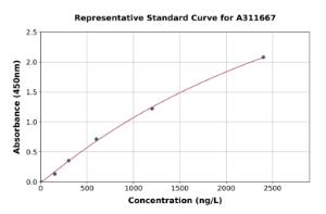 Representative standard curve for Human Estrogen Related Receptor gamma ELISA kit (A311667)