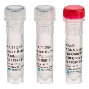 T4 DNA polymerase, exonuclease minus kit