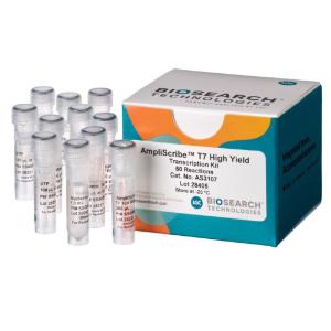 CloneSmart HCAmp blunt cloning kit (without cells), 20 Rxns