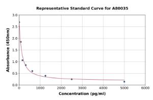 Representative standard curve for Rat Amylin/DAP ELISA kit (A80035)