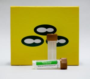 DNA/RNA Shield™ Fecal Collection Tube, Zymo Research