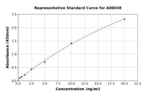 Representative standard curve for Rat IgA ELISA kit (A80038)