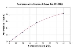 Representative standard curve for Human CD73 ELISA kit (A312388)