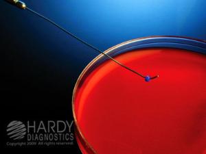 SCI Needle, Nichrome, with Aluminum Handle, Hardy Diagnostics