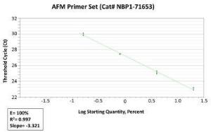 AFM primer, Novus Biologicals (NBP1-71653)