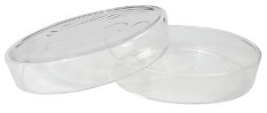 Petri dish flint glass 100 mm cs 100