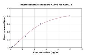 Representative standard curve for Rat MAP2 ELISA kit (A80072)