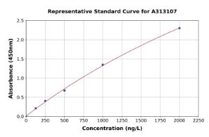 Representative standard curve for Human Vinculin ELISA kit (A313107)