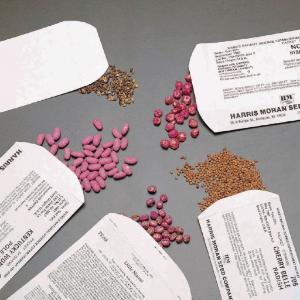 Ward's® Seed Germination Kit
