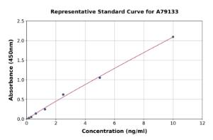 Representative standard curve for Mouse Bax ELISA kit (A79133)