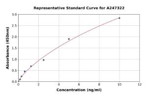 Representative standard curve for Human BNIP3L/NIX ELISA kit (A247322)