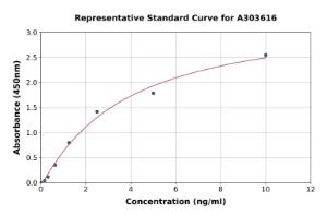 Representative standard curve for Mouse RALBP1 ELISA kit (A303616)
