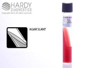 Blood Agar, 5%, Slant, Hardy Diagnostics