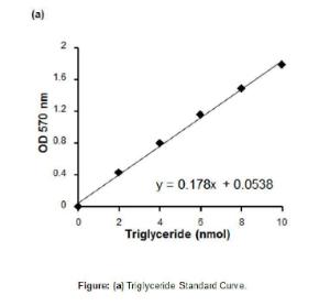 Triglyceride Quantification Kit