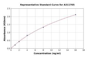 Representative standard curve for Human MMP13 ELISA kit (A311705)