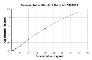 Representative standard curve for Porcine PCNA ELISA kit (A303674)
