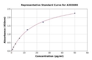 Representative standard curve for Rat CXCL1/GRO alpha ELISA kit (A303690)