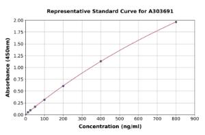 Representative standard curve for Rat IgG ELISA kit (A303691)