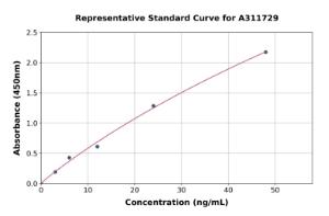 Representative standard curve for Human ENO3 ELISA kit (A311729)