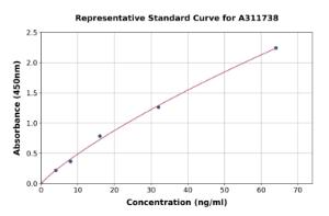 Representative standard curve for Human ERK2 ELISA kit (A311738)