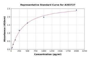 Representative standard curve for Rat NLRP4 ELISA kit (A303727)