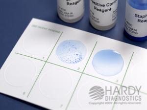 StaphTEX™ Blue, Hardy Diagnostics