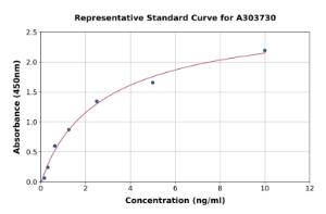 Representative standard curve for Rat Phex ELISA kit (A303730)