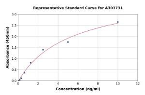 Representative standard curve for Rat DMP1 ELISA kit (A303731)