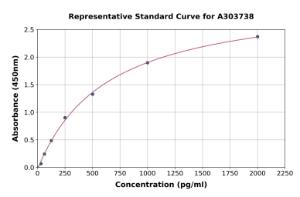 Representative standard curve for Rat SGK1 ELISA kit (A303738)