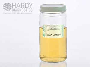 Lactose Broth, Hardy Diagnostics