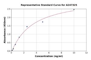 Representative standard curve for Human Olig2 ELISA kit (A247325)