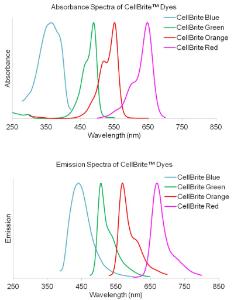 CellBrite™ spectra