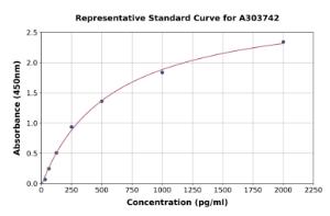 Representative standard curve for Rat EAAT2 ELISA kit (A303742)