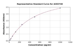 Representative standard curve for Rat ROCK2 ELISA kit (A303748)