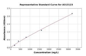 Representative standard curve for Human KCNK17 ELISA kit (A313123)