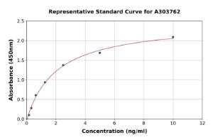 Representative standard curve for Rat Vimentin ELISA kit (A303762)