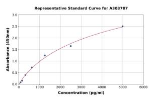 Representative standard curve for Rat ZnT-3 ELISA kit (A303787)
