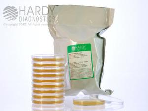 SterEM™ SabDex (Sabouraud Dextrose) Agar, Irradiated, Hardy Diagnostics