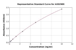 Representative standard curve for Human SHANK3 ELISA kit (A302989)