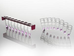 8 Well PCR tube strip with PC frame and standard tube strips vs  8 Well PCR tube strip with PC frame will remain straight
