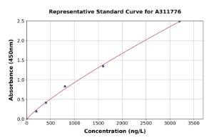 Representative standard curve for Human BMAL1 ELISA kit (A311776)
