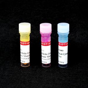 Cytoplasmic membrane labelling kit