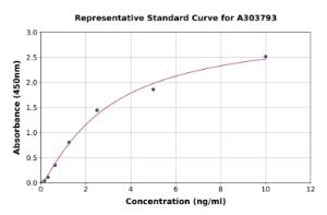 Representative standard curve for Rat IgA1 ELISA kit (A303793)