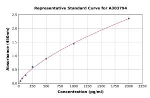 Representative standard curve for Rat MKRN1 ELISA kit (A303794)