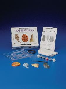 Fossilworks Eyewitness Kit