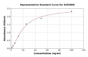 Representative standard curve for Rat Anti-KLH IgG ELISA kit (A303800)